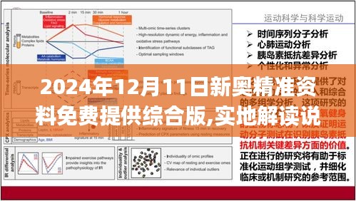 2025新奥资料免费精准051|精选解释解析落实